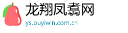 龙翔凤翥网
